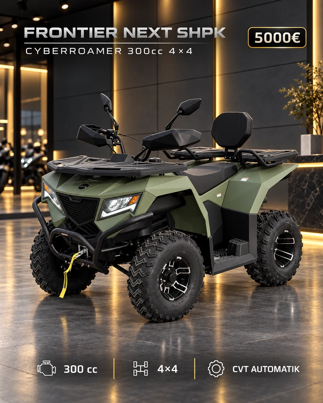 CYBERROAMER 300cc 4×4